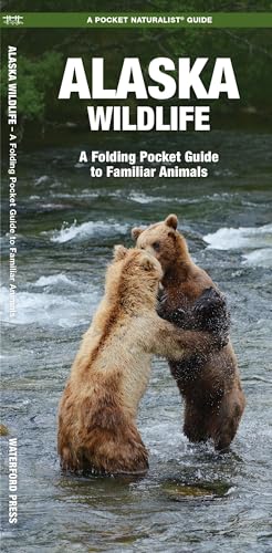Alaska Wildlife: A Folding Pocket Guide to Familiar Species: A Folding Pocket Guide to Familiar Animals (Wildlife and Nature Identification)